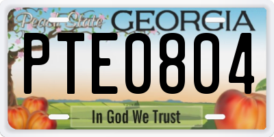 GA license plate PTE0804