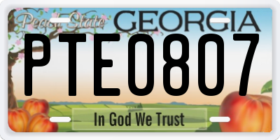 GA license plate PTE0807