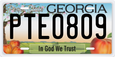GA license plate PTE0809