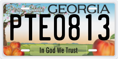 GA license plate PTE0813