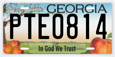 GA license plate PTE0814