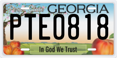 GA license plate PTE0818