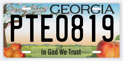GA license plate PTE0819