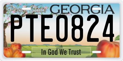 GA license plate PTE0824