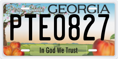 GA license plate PTE0827
