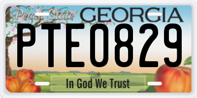 GA license plate PTE0829