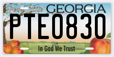 GA license plate PTE0830
