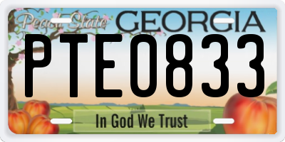 GA license plate PTE0833