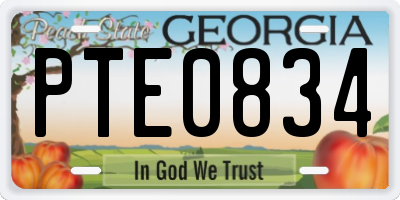 GA license plate PTE0834