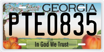 GA license plate PTE0835