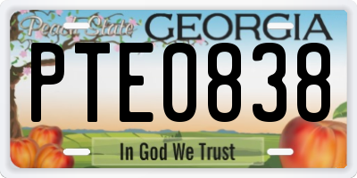 GA license plate PTE0838
