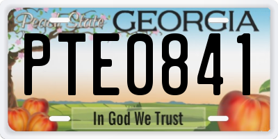 GA license plate PTE0841