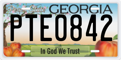 GA license plate PTE0842
