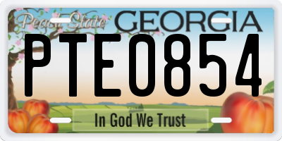 GA license plate PTE0854