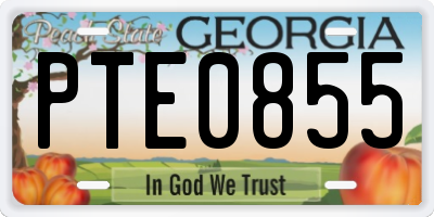 GA license plate PTE0855