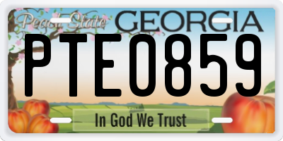 GA license plate PTE0859