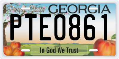GA license plate PTE0861