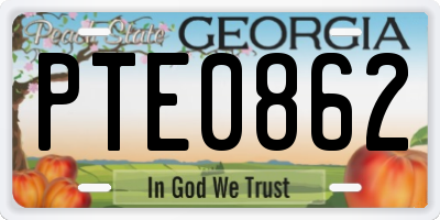 GA license plate PTE0862