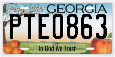 GA license plate PTE0863