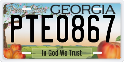 GA license plate PTE0867
