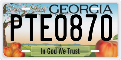 GA license plate PTE0870
