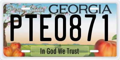 GA license plate PTE0871