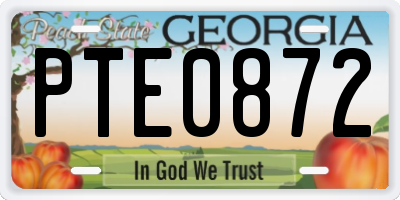 GA license plate PTE0872
