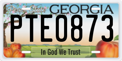 GA license plate PTE0873