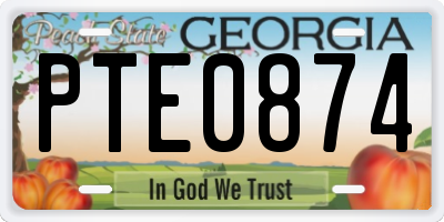 GA license plate PTE0874