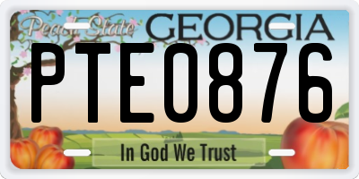 GA license plate PTE0876