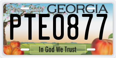 GA license plate PTE0877