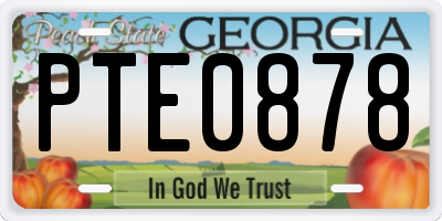 GA license plate PTE0878