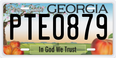 GA license plate PTE0879