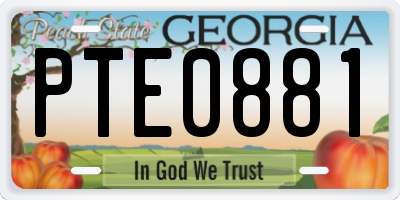 GA license plate PTE0881