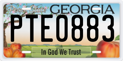 GA license plate PTE0883