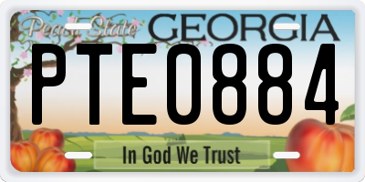 GA license plate PTE0884