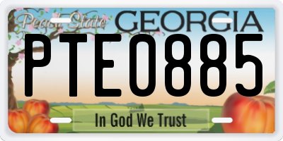 GA license plate PTE0885