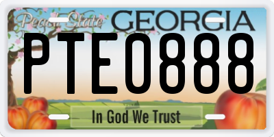 GA license plate PTE0888