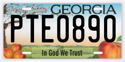GA license plate PTE0890