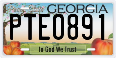 GA license plate PTE0891