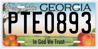 GA license plate PTE0893