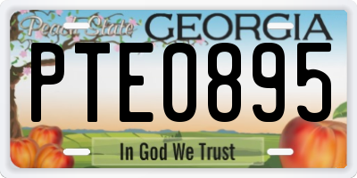 GA license plate PTE0895