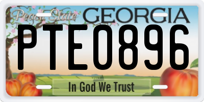GA license plate PTE0896