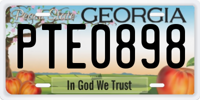 GA license plate PTE0898