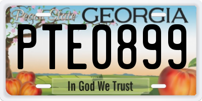 GA license plate PTE0899