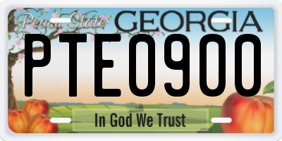 GA license plate PTE0900