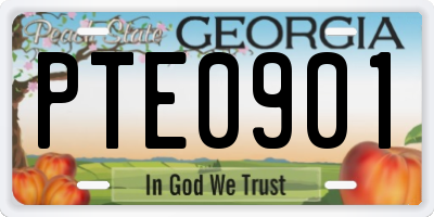 GA license plate PTE0901