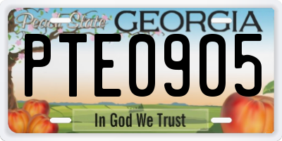 GA license plate PTE0905