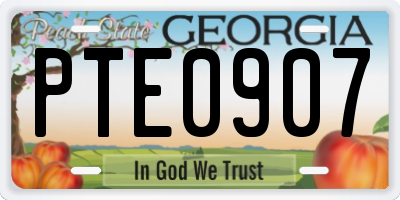 GA license plate PTE0907