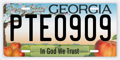 GA license plate PTE0909
